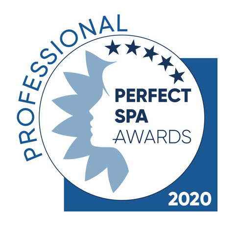 PSA 2020 Professionel